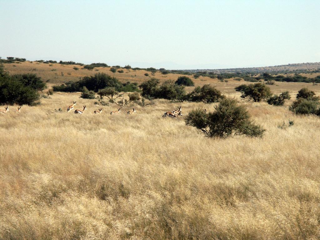 090509_South_Africa 186.jpg